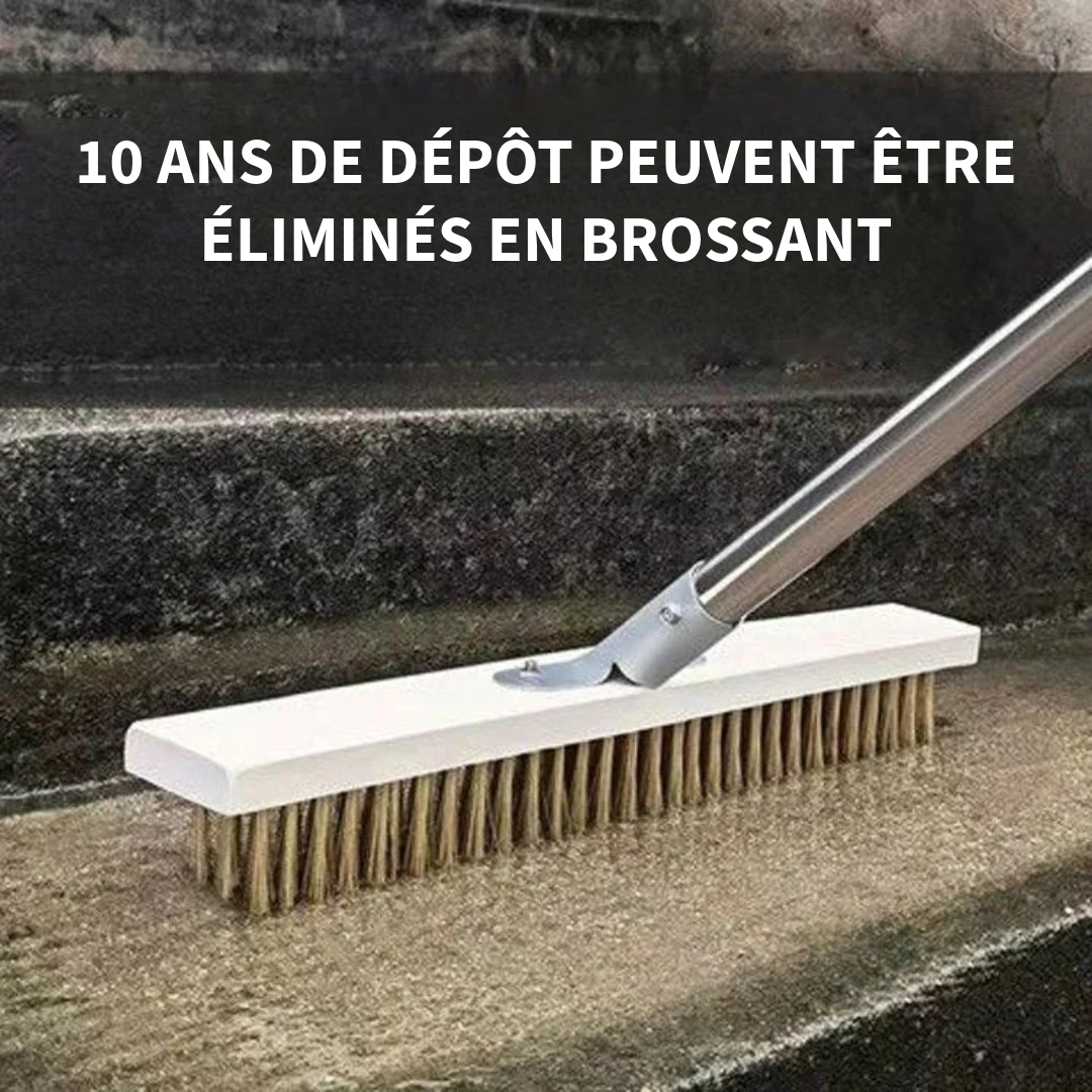 Brosse de nettoyage en fil inox