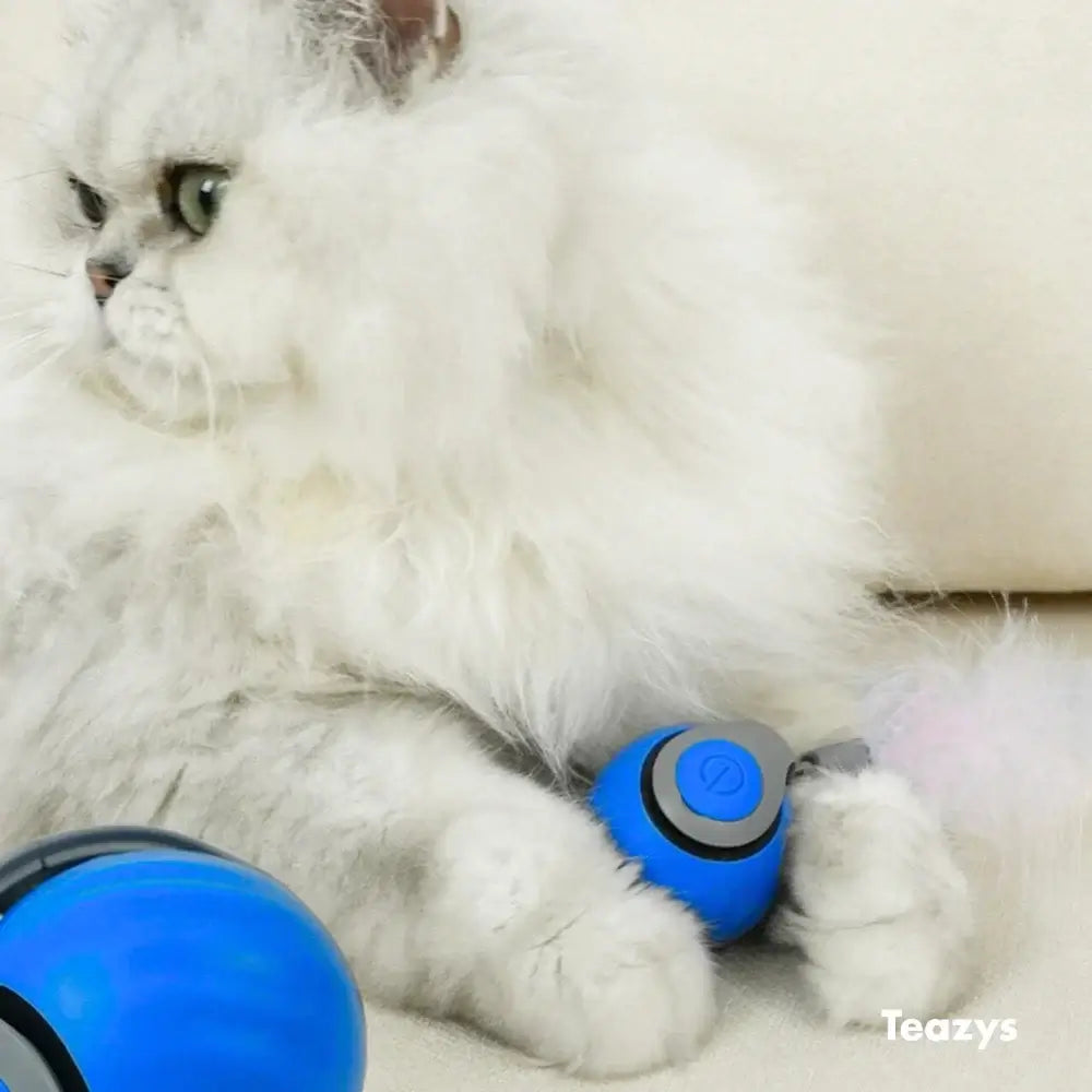 Jouet Interactif Pour Chat