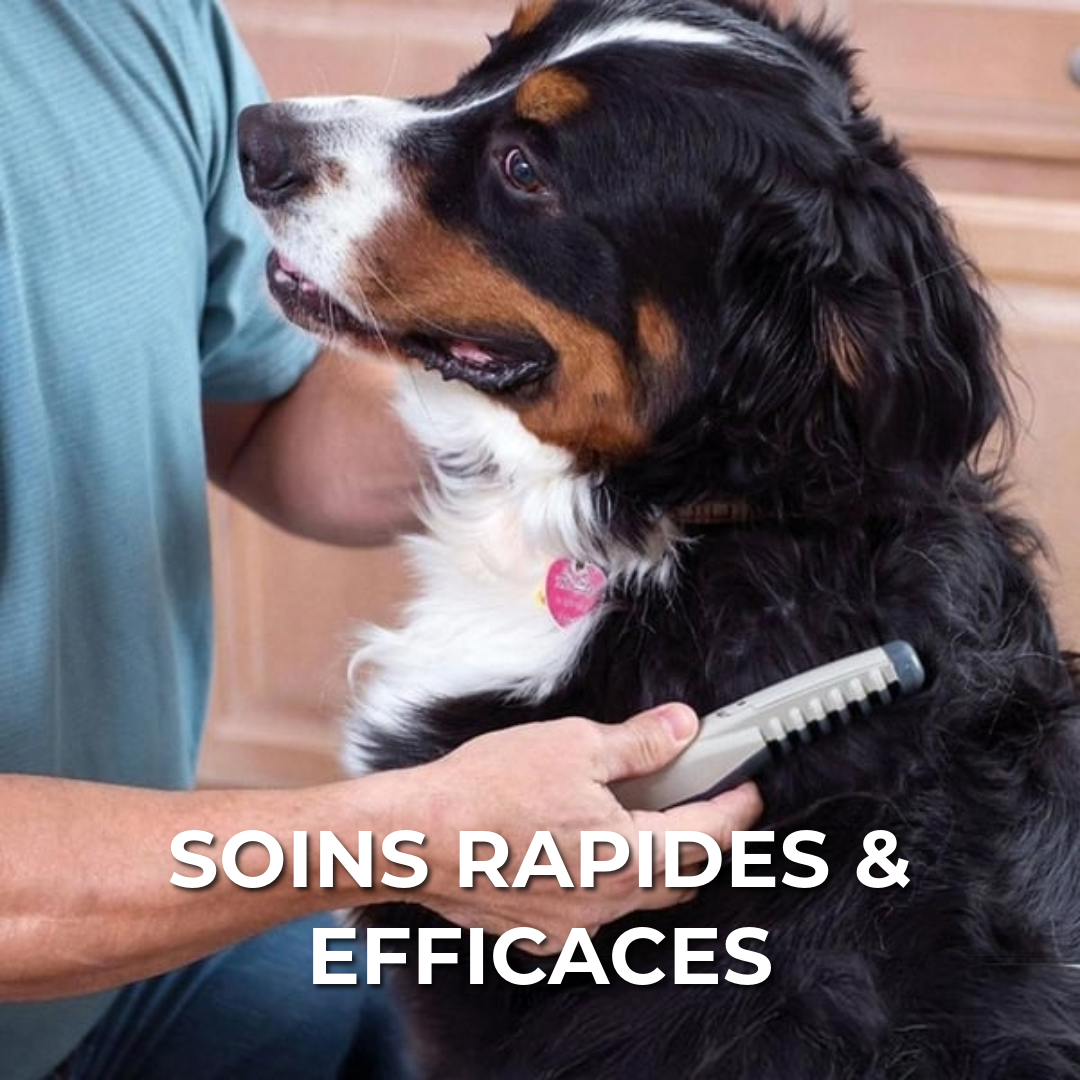 Brosse Électrique pour Animaux