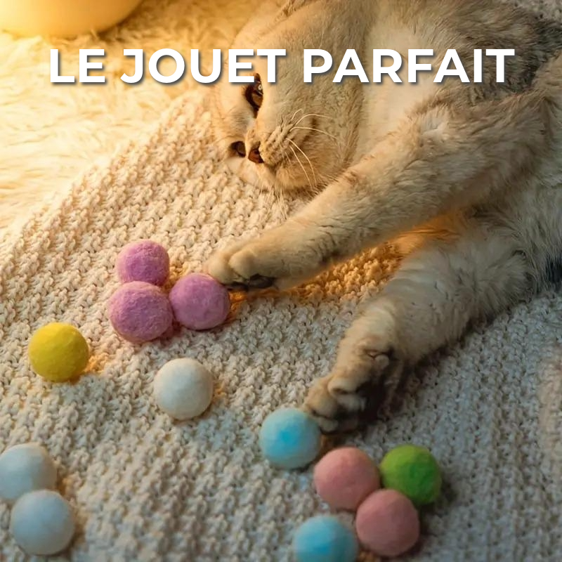 Jouet interactif pour animaux