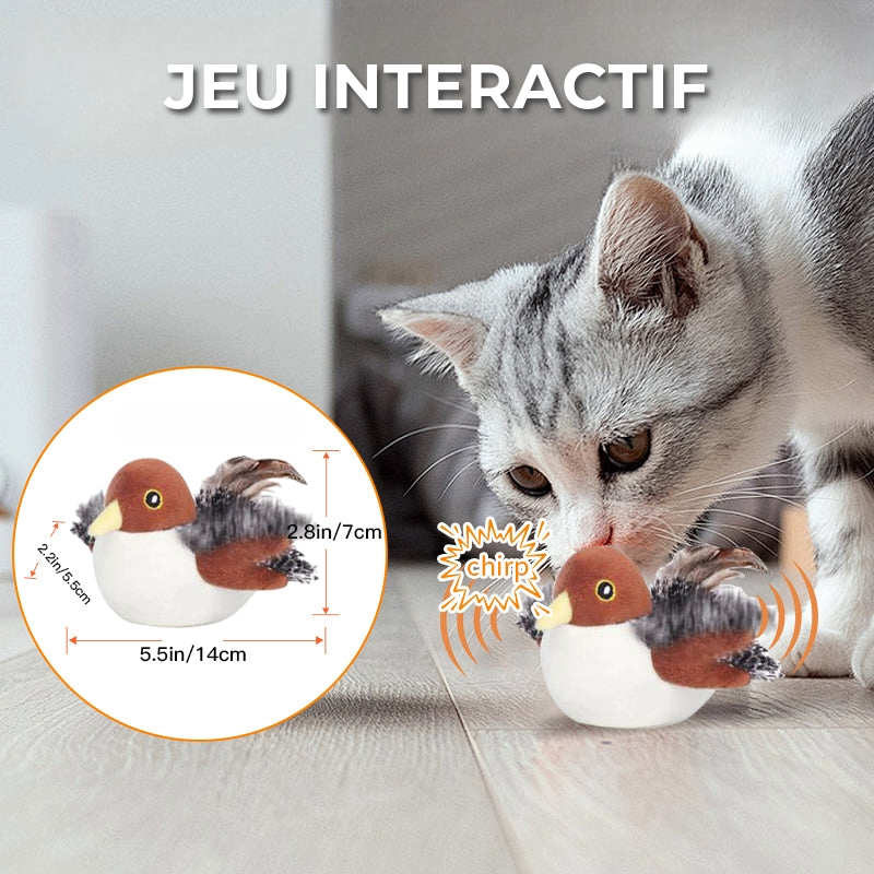 Jouet interactif pour chat