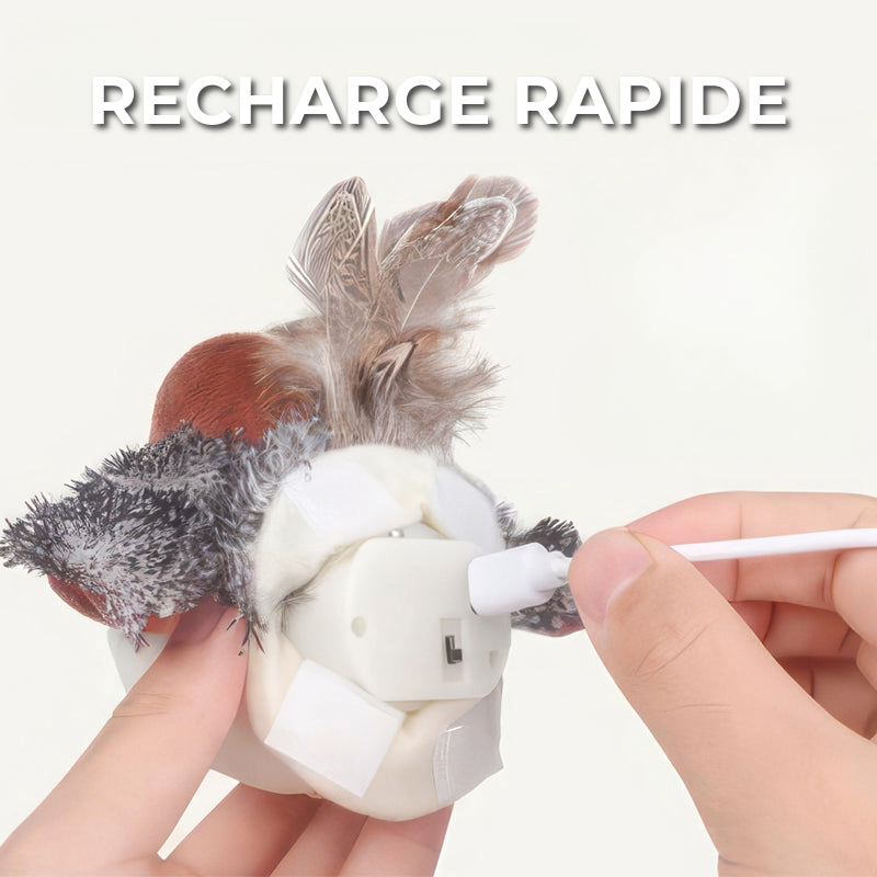 Jouet interactif pour chat