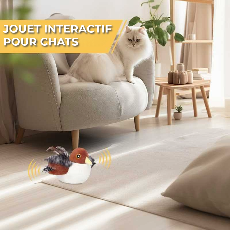 Jouet interactif pour chat