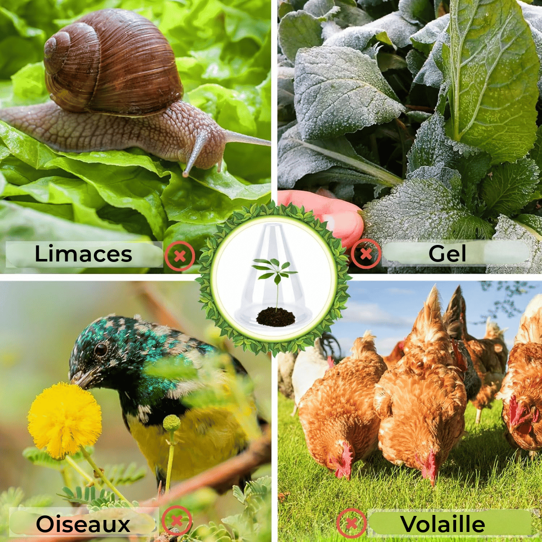 Housses de protection pour plantes