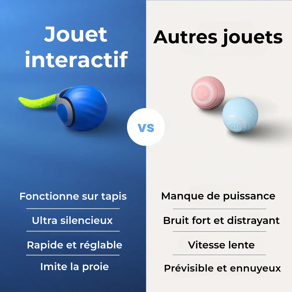 Jouet Interactif Pour Chat