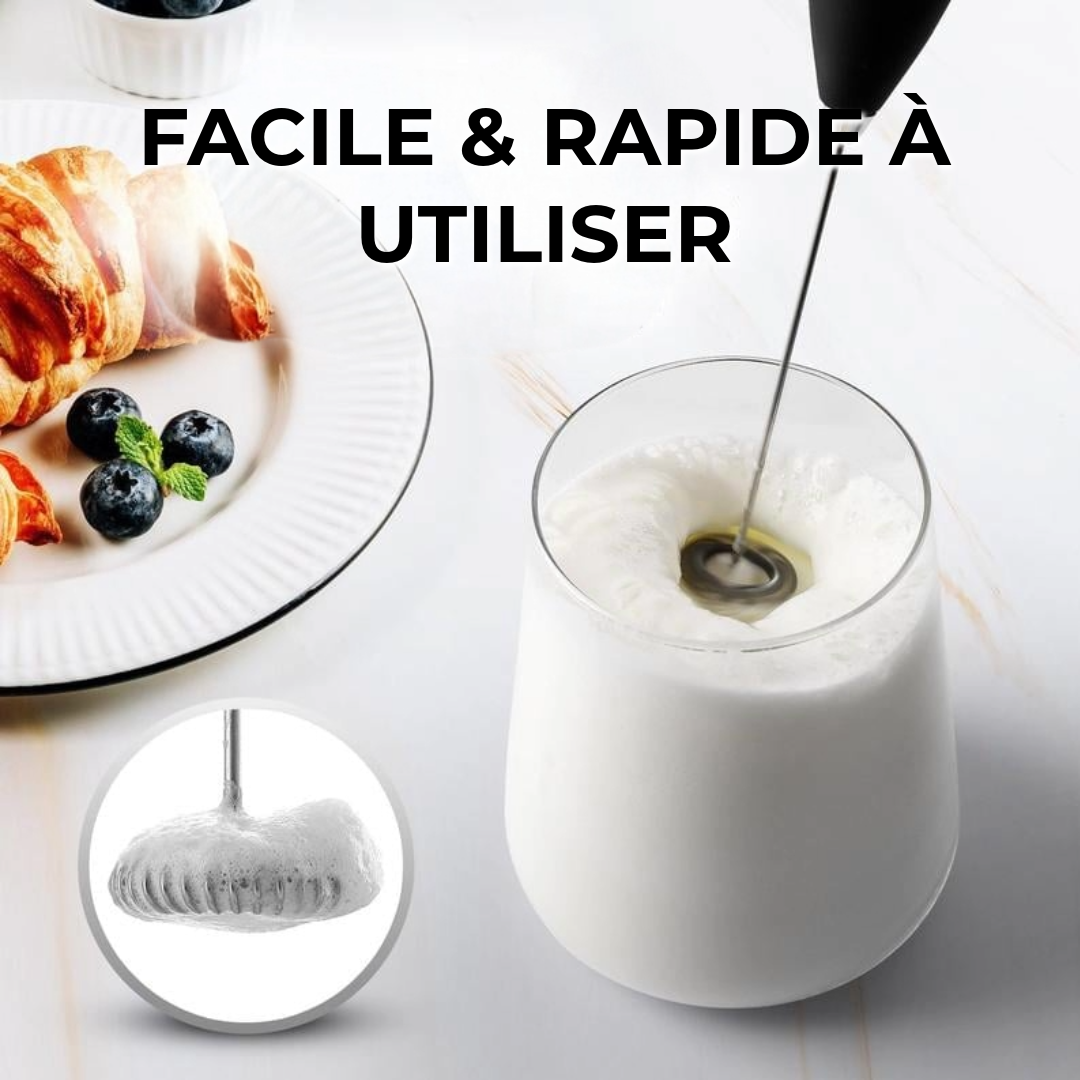 Mousseur à Lait Professionnel