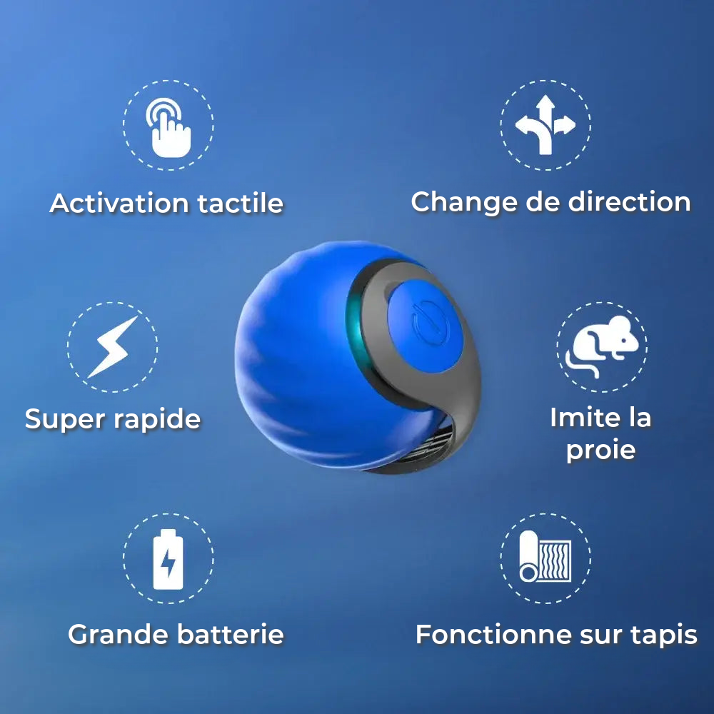 Jouet Interactif Pour Chat