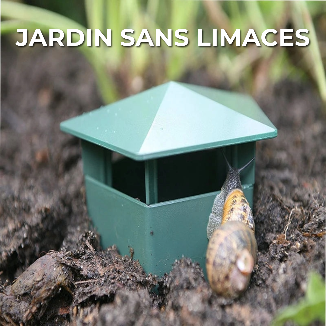 Piège à limaces professionnel