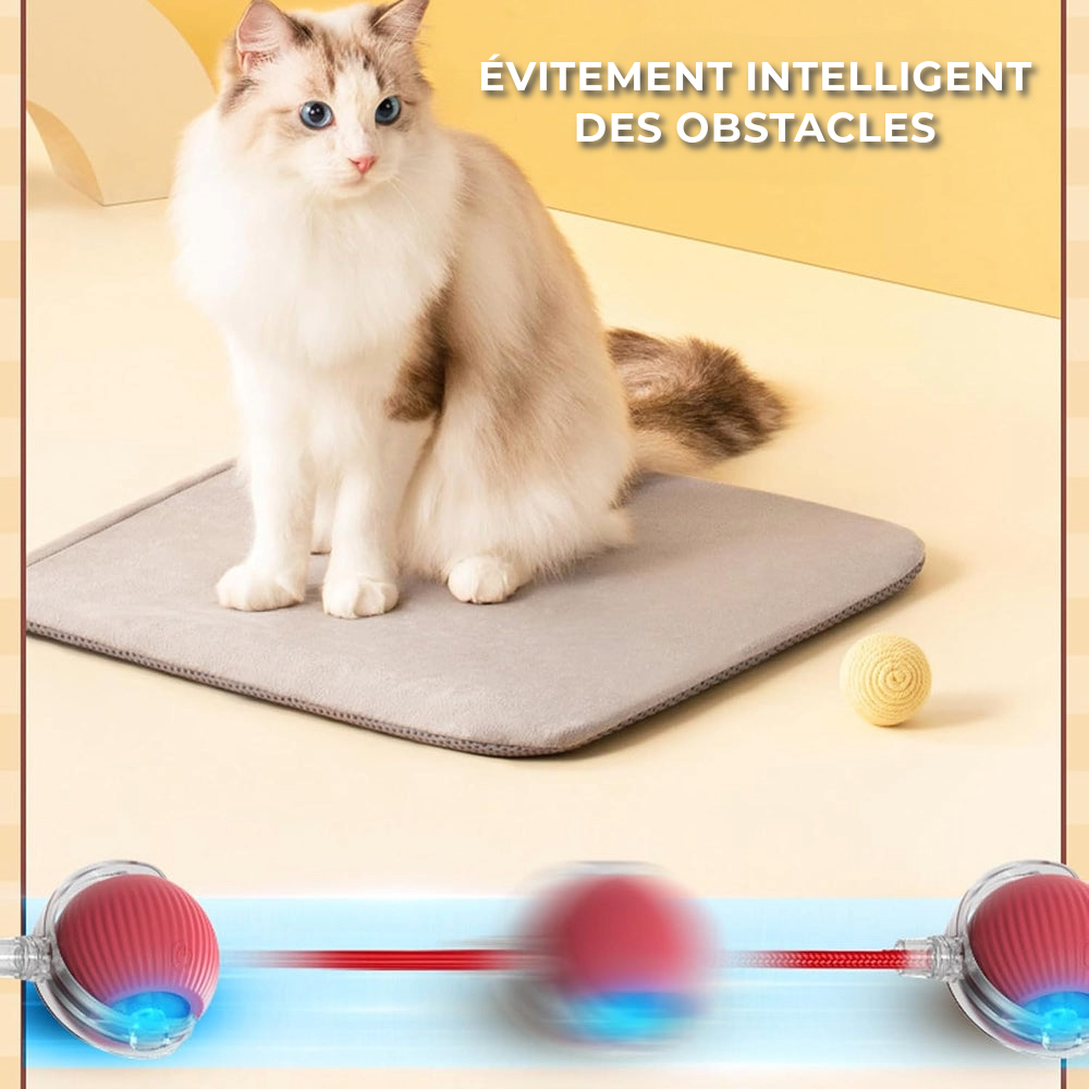 Jouet interactif