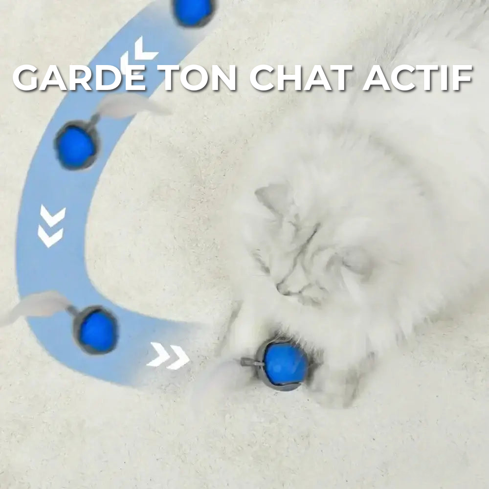 Jouet Interactif Pour Chat