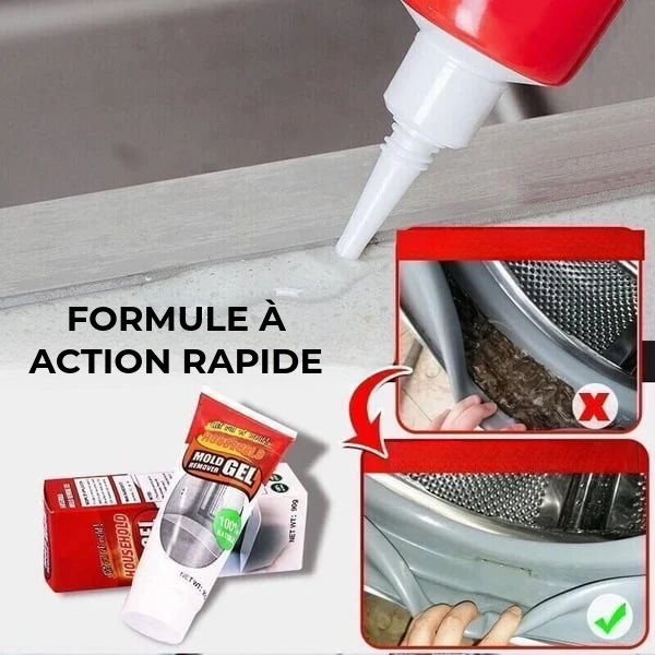 Gel Professionnel Anti-Moisissure
