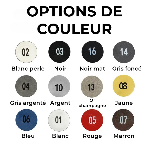 Stylo de Retouche Peinture Auto