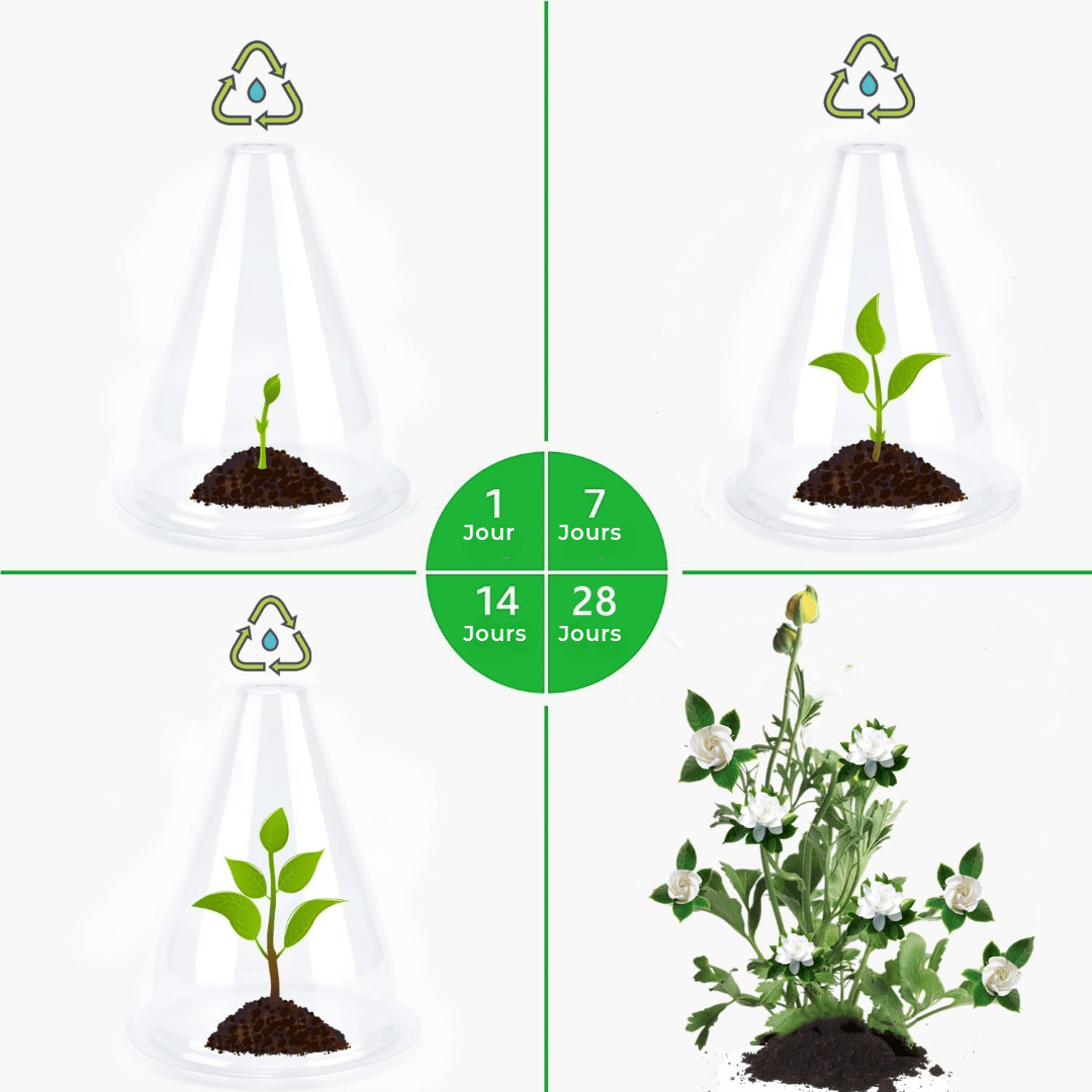 Housses de protection pour plantes