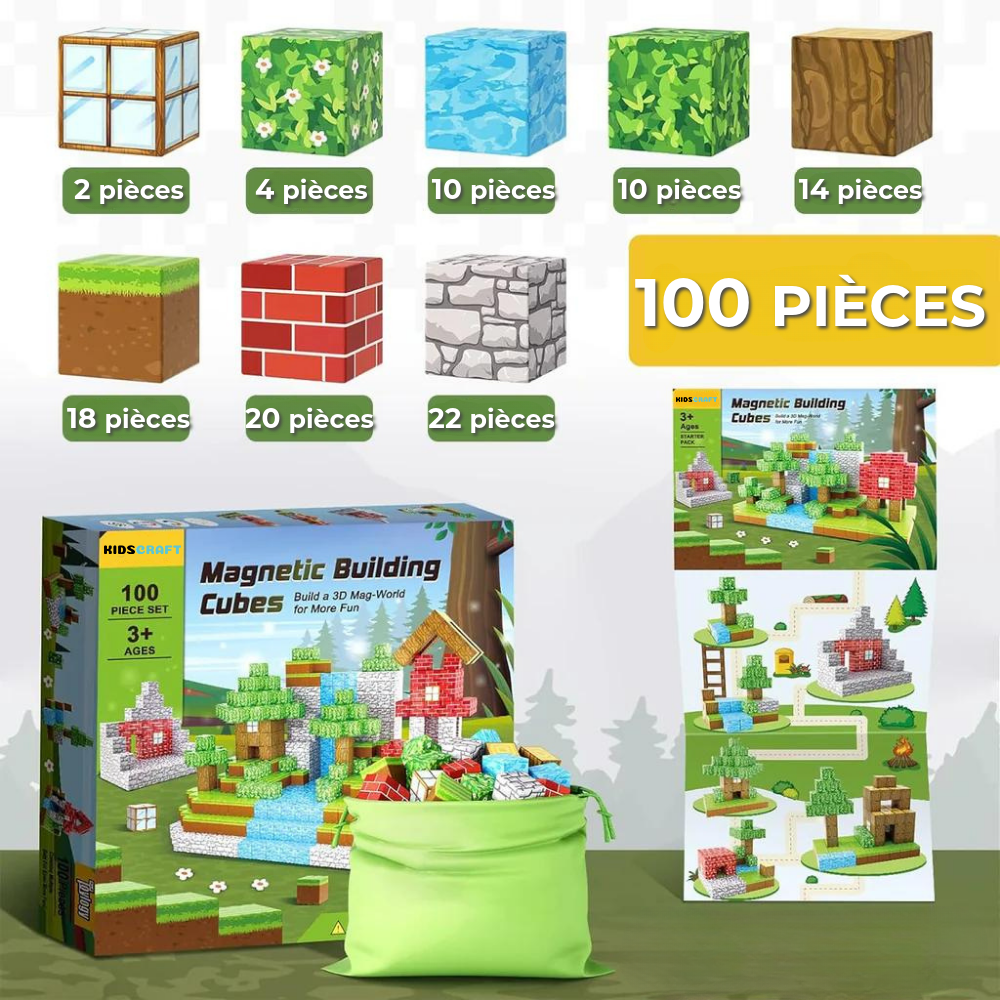 Set de blocs magnétiques Minecraft