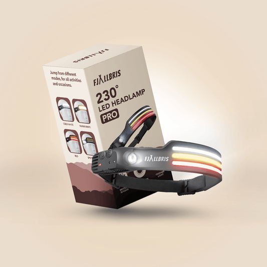 Lampe frontale LED professionnelle