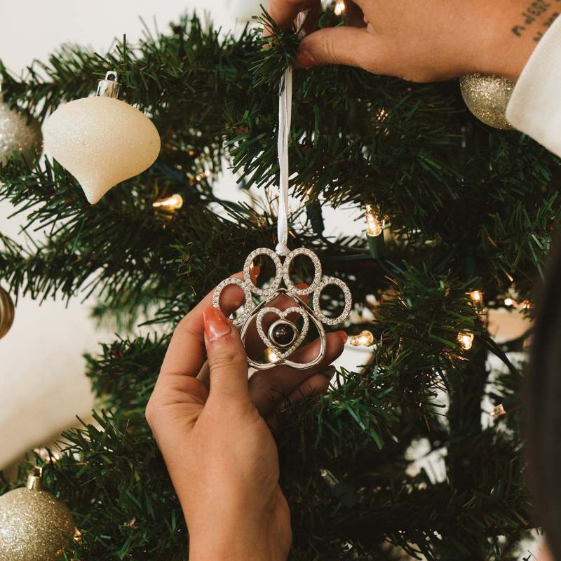 Ornement de Noël personnalisé