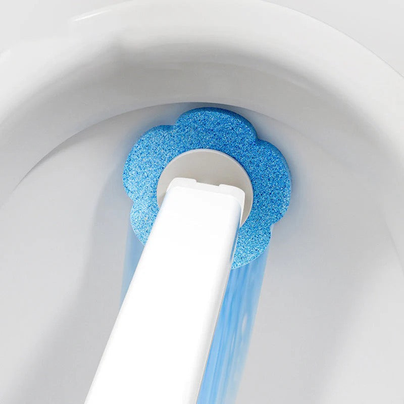 Brosse de Toilette Hygiénique