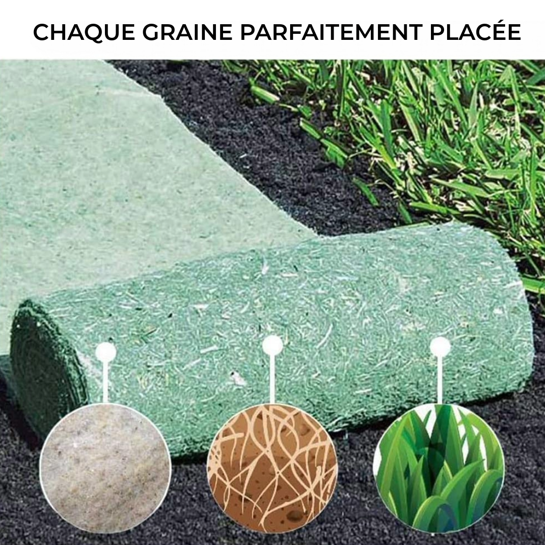 Tapis de Gazon Magique