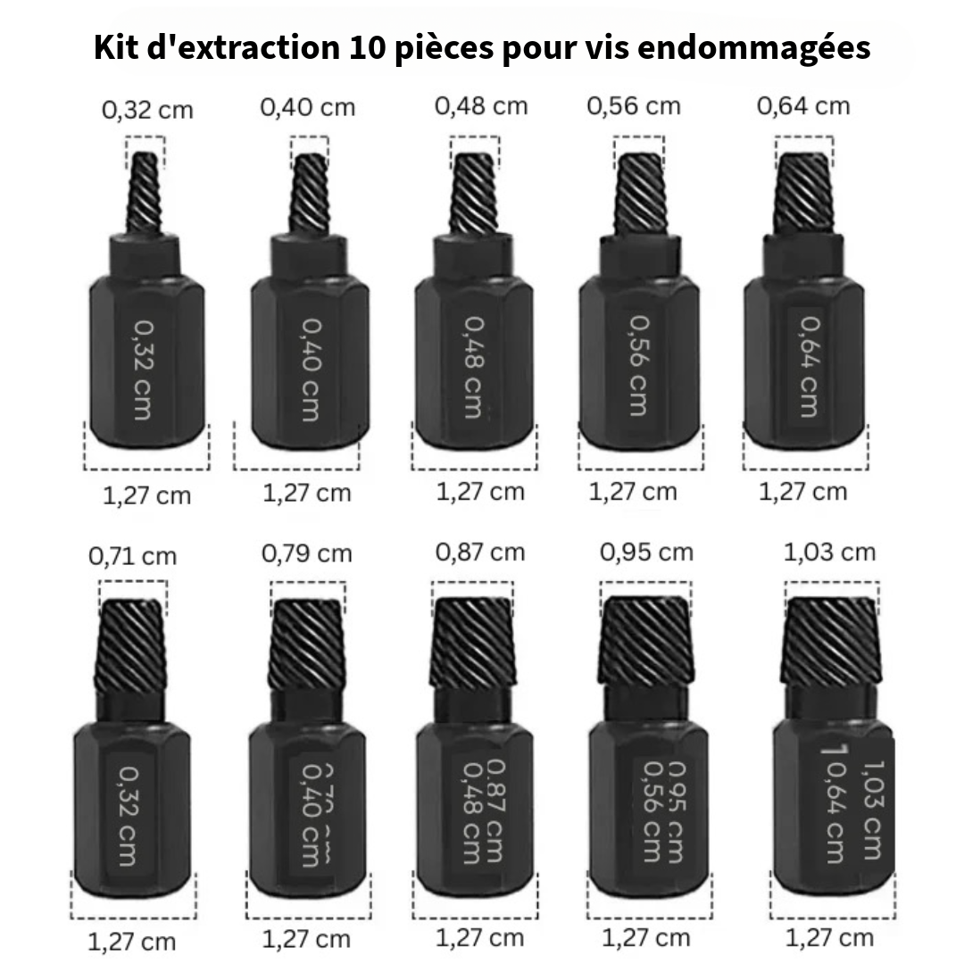 Le Kit Ultime de Retrait de Vis
