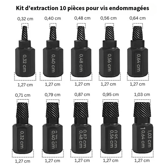 Le Kit Ultime de Retrait de Vis