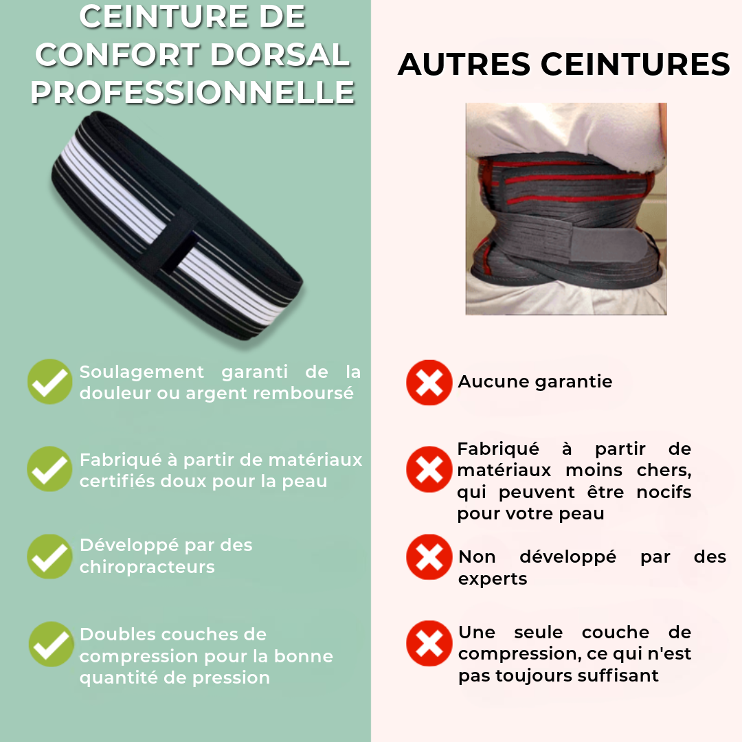 Ceinture de Confort Dorsal Professionnelle