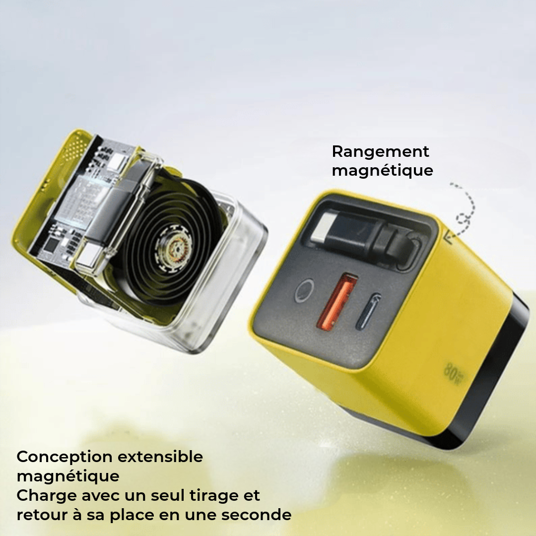 Chargeur Rapide 80W