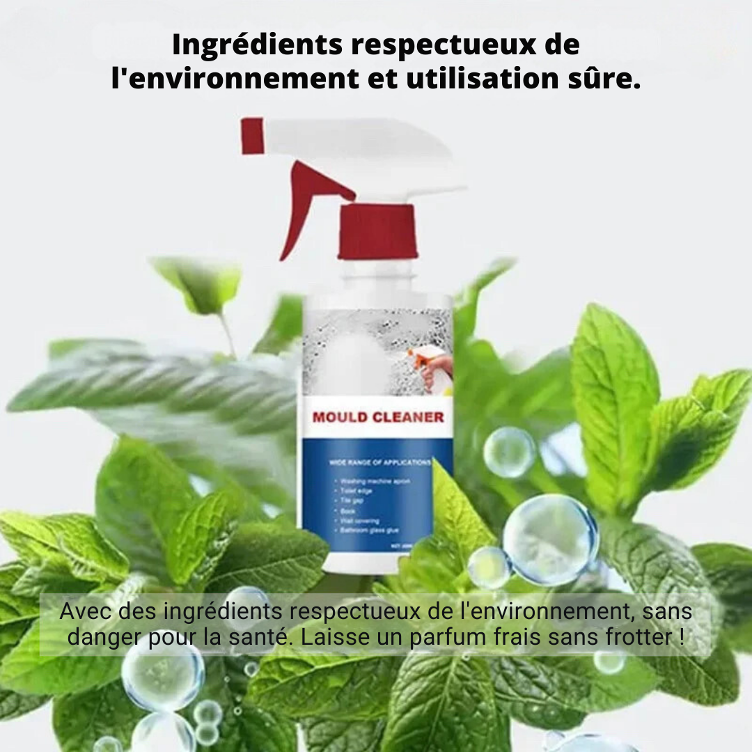 CleanShield™ - Détachant pour moisissures