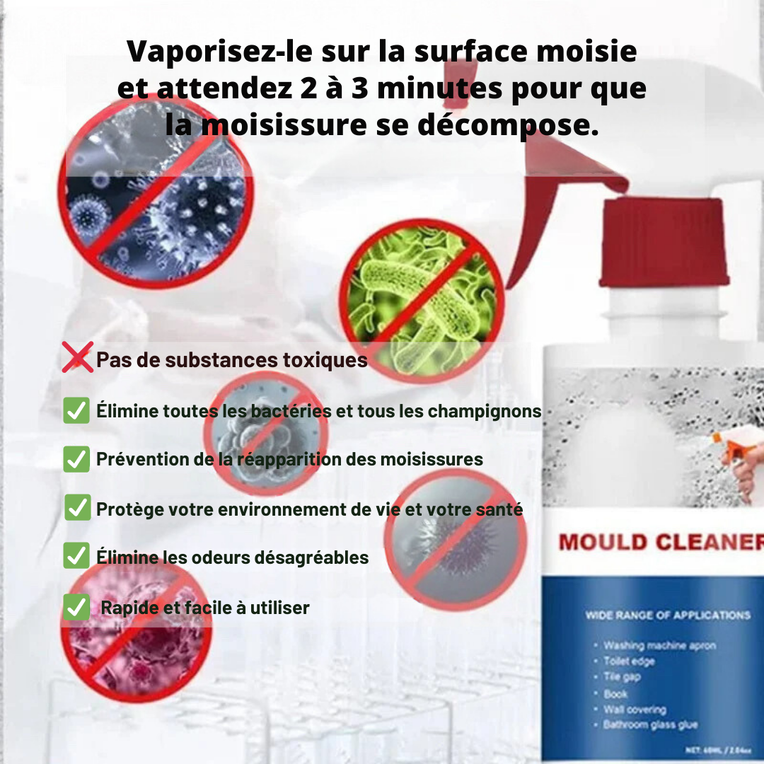 CleanShield™ - Détachant pour moisissures