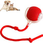Jouet interactif