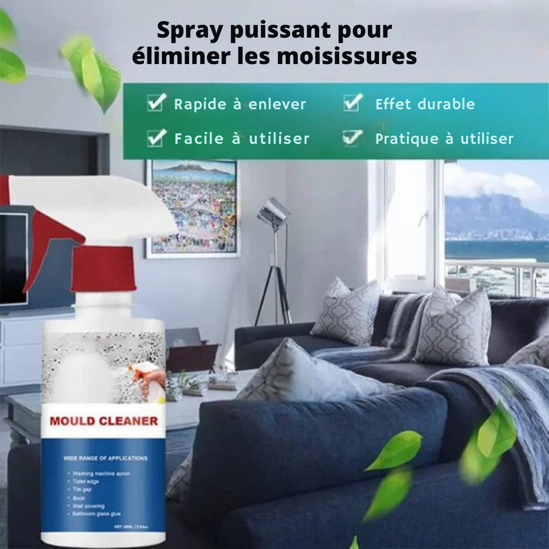 CleanShield™ - Détachant pour moisissures