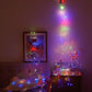 Lumières de Noël Magiques