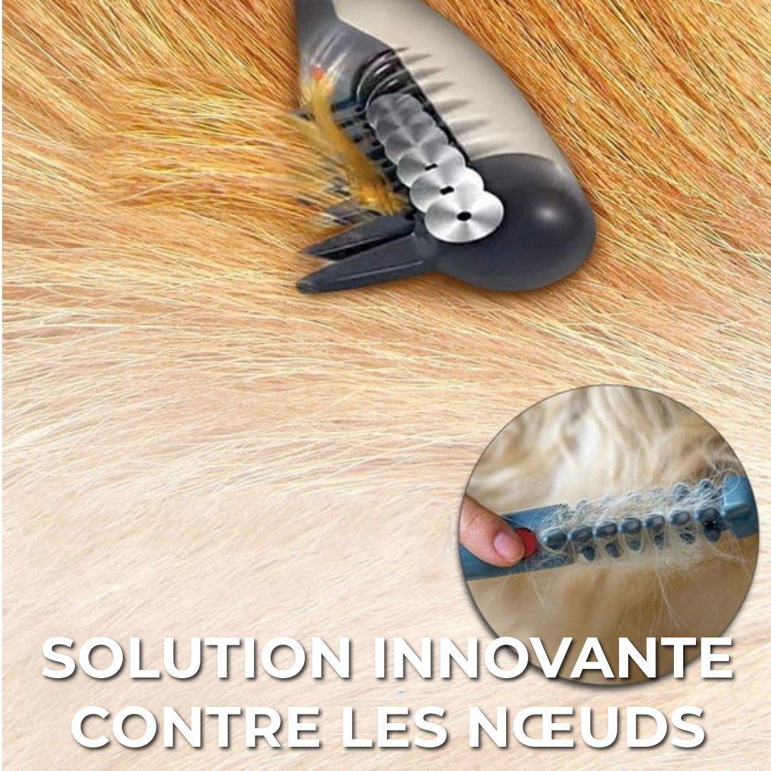 Brosse Électrique pour Animaux