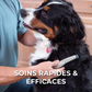 Brosse Électrique pour Animaux