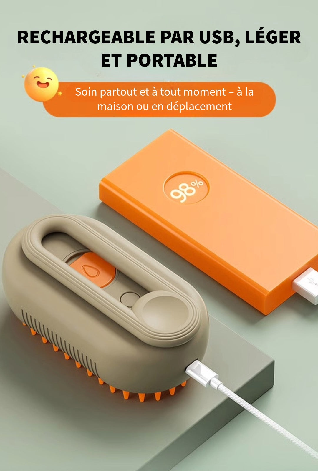 Peigne Vapeur pour Animaux