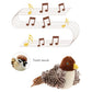 Jouet interactif pour chat