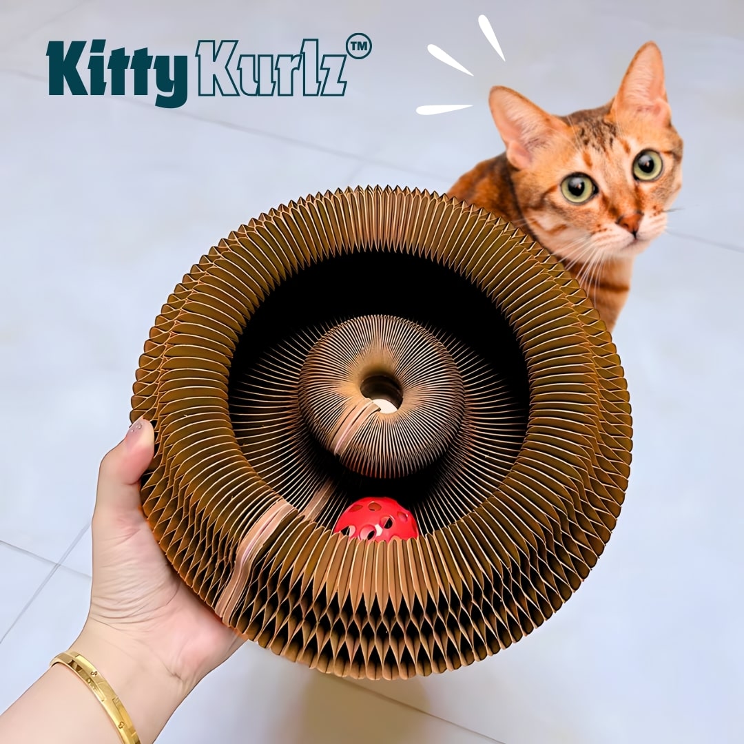 Kitty Kurlz™ Jouet pour Chat