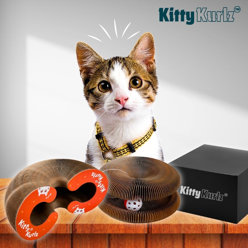 Kitty Kurlz™ Jouet pour Chat