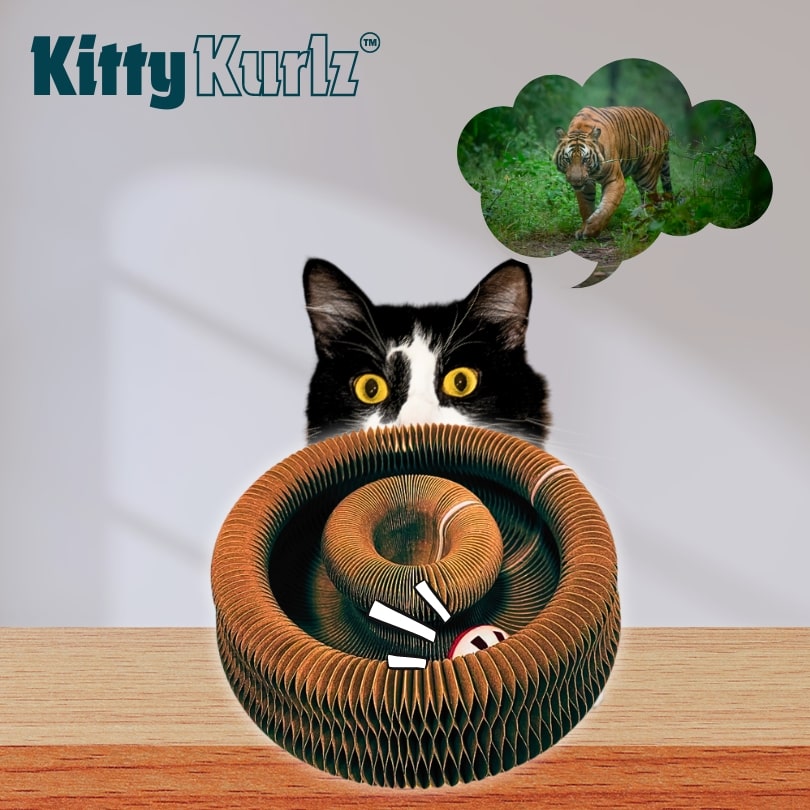Kitty Kurlz™ Jouet pour Chat