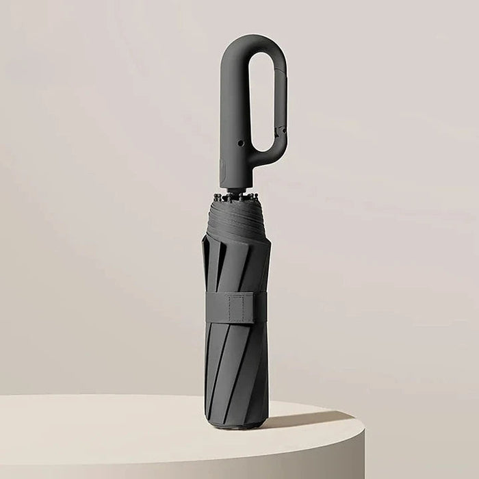 Parapluie de Luxe