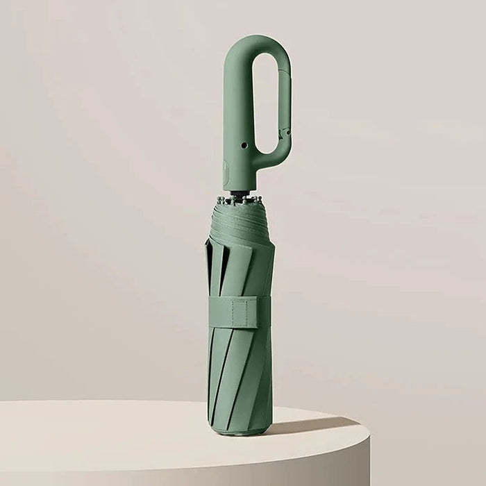Parapluie de Luxe
