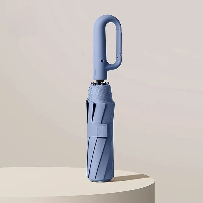 Parapluie de Luxe