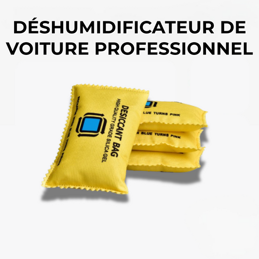 Déshumidificateur de Voiture Professionnel