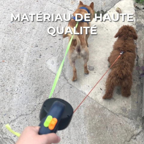 Laisse Double