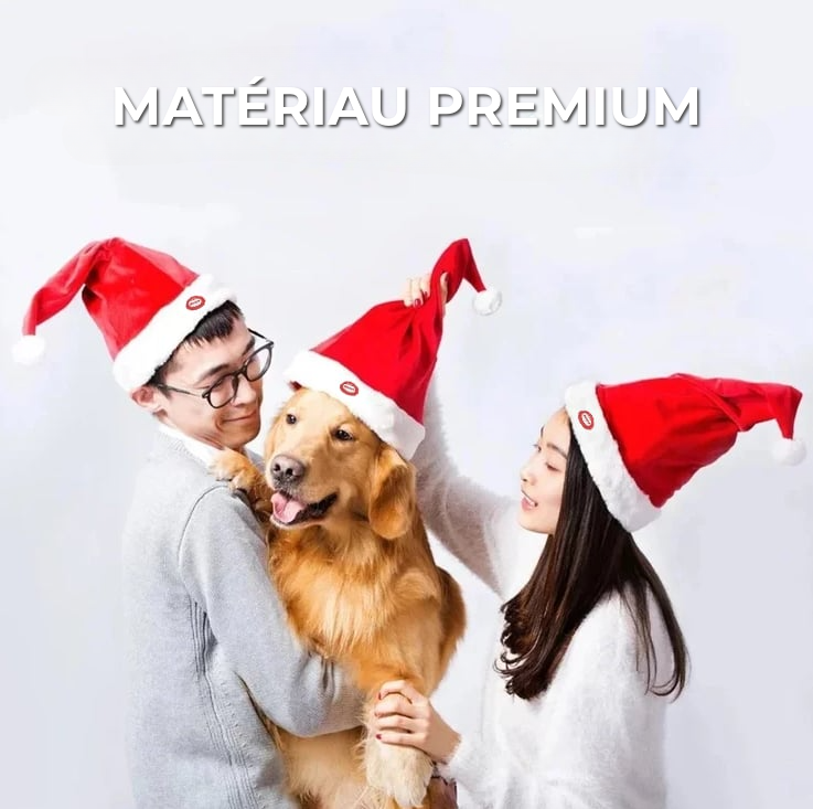 Chapeau de Noël Animé