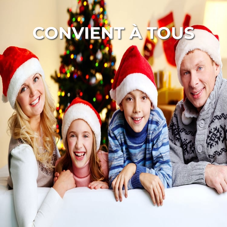 Chapeau de Noël Animé