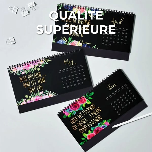 Calendrier Amusant 2025