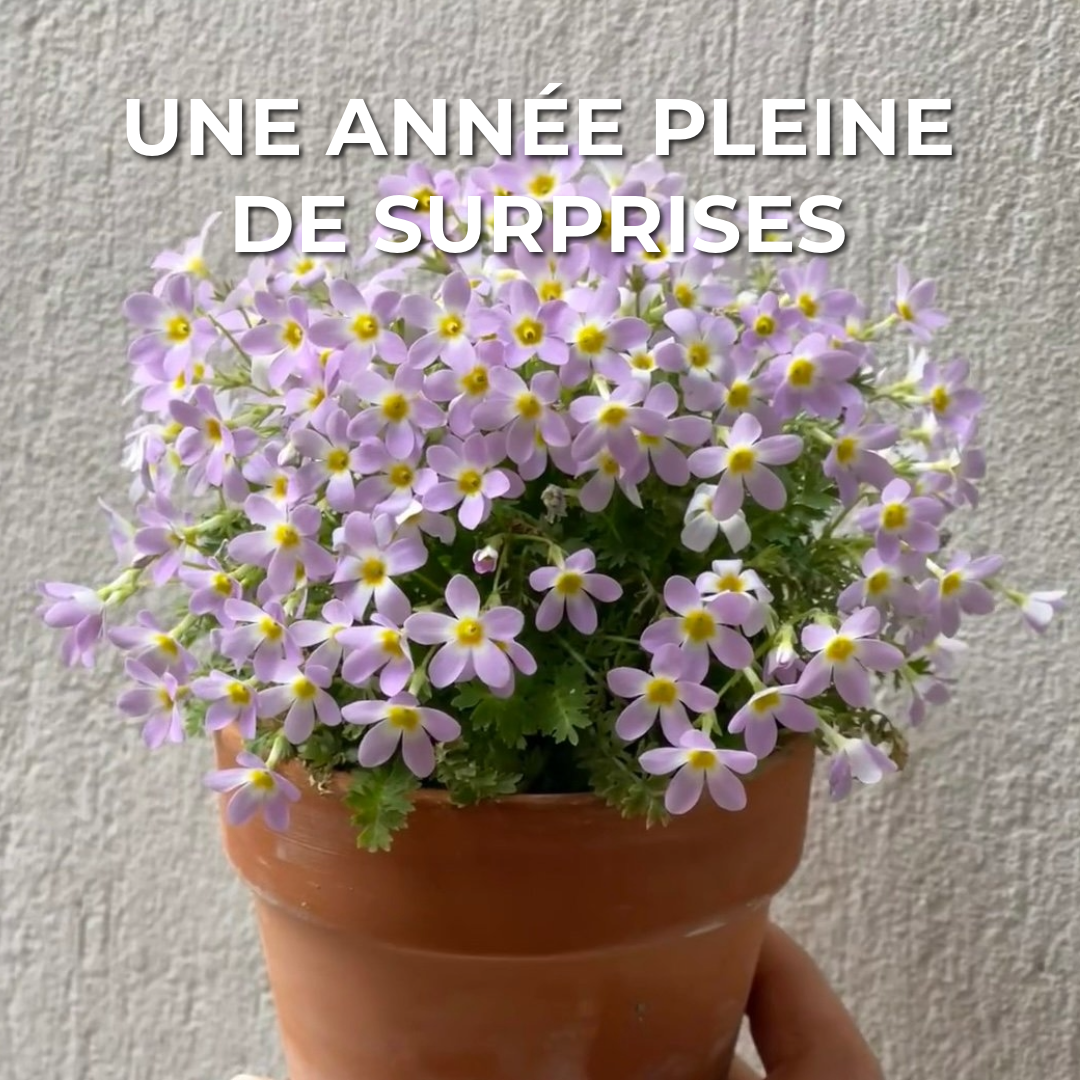 Calendrier Plantable 2025