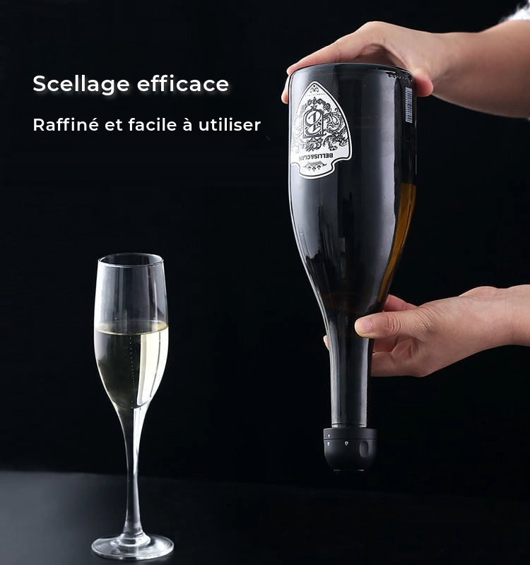 Bouchon de vide professionnel
