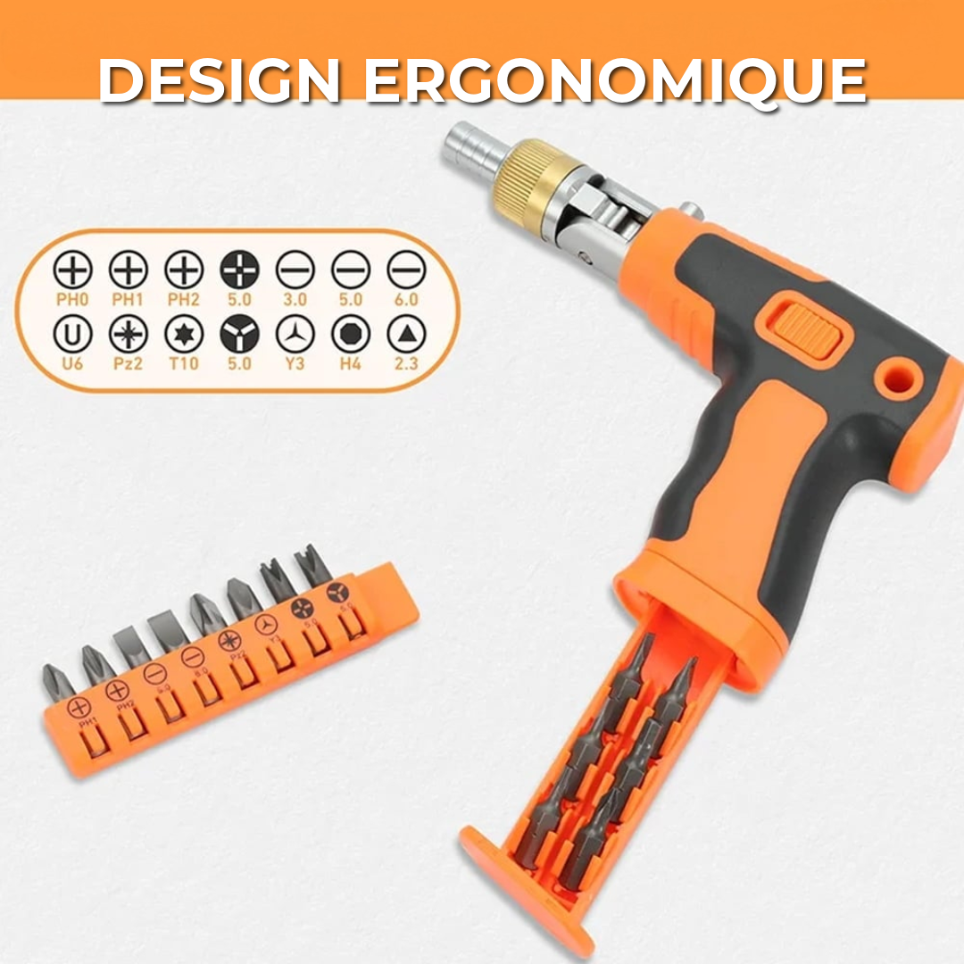Professionnel 16-en-1 tournevis set