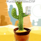 Cactus Dansant